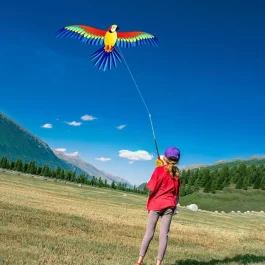 Kite Kit Outdoor Toys for Fun